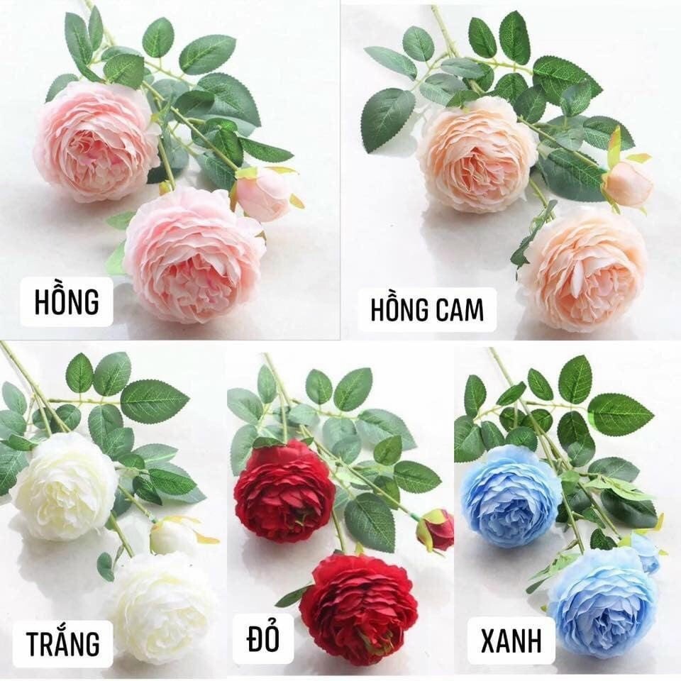 Combo 5 Cành hoa hồng mẫu đơn lụa - hoa hồng giả nhiều màu sắc (1 cành/ 3 bông size to) MMS 101153