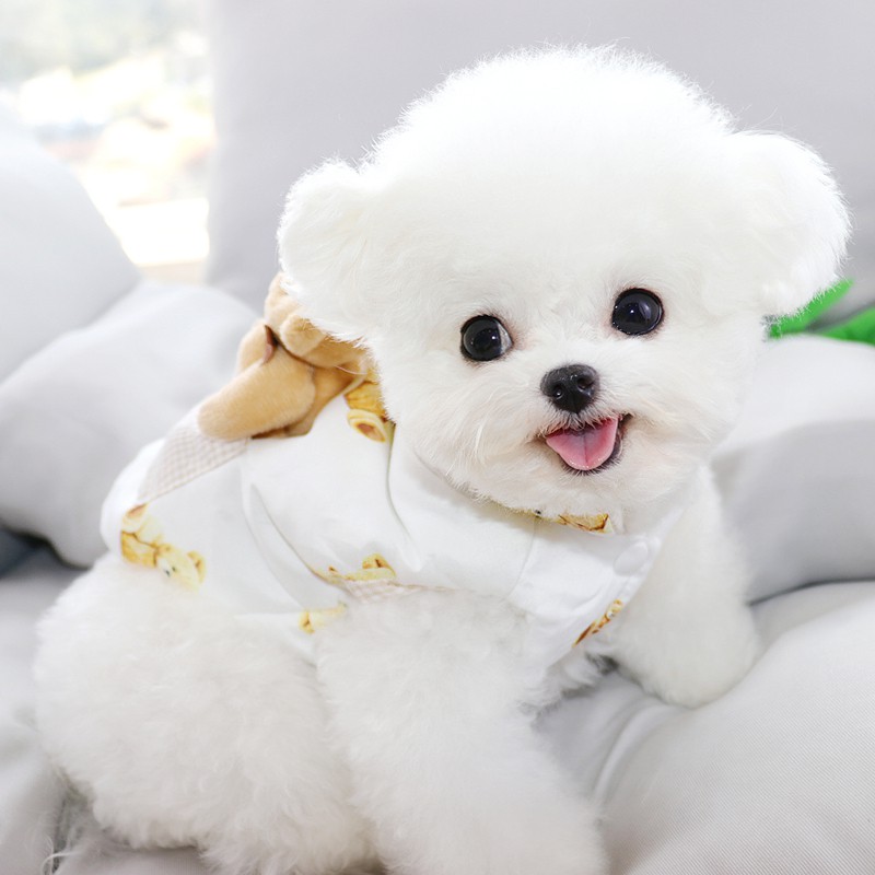 Áo khoác cotton dày thời trang thu đông cho thú cưng