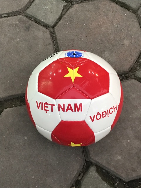 Bóng đá Động Lực số 4, số 5 hình Việt Nam vô địch