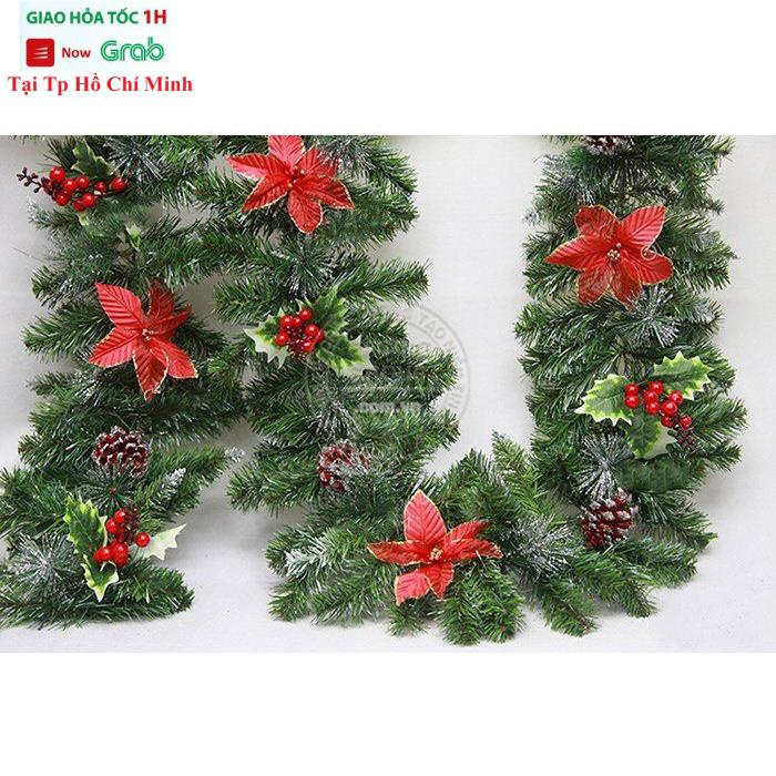 Dây Lá Thông 3 Loại Lá Trang Trí Khung Cửa , Tường Nhà Mùa Giáng Sinh 2m1 Có Hoa Đỏ Trái Cherry Đỏ Trái Thông G10-3LLDC
