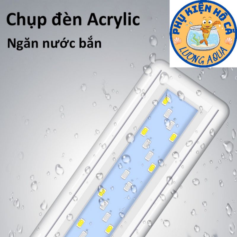 Đèn hồ cá thủy sinh,đèn máng,đèn kẹp,đèn led hồ cá trắng xanh -nhiều màu siêu sáng 20-60cm,phụ kiện hồ cá cảnh,thủy sinh