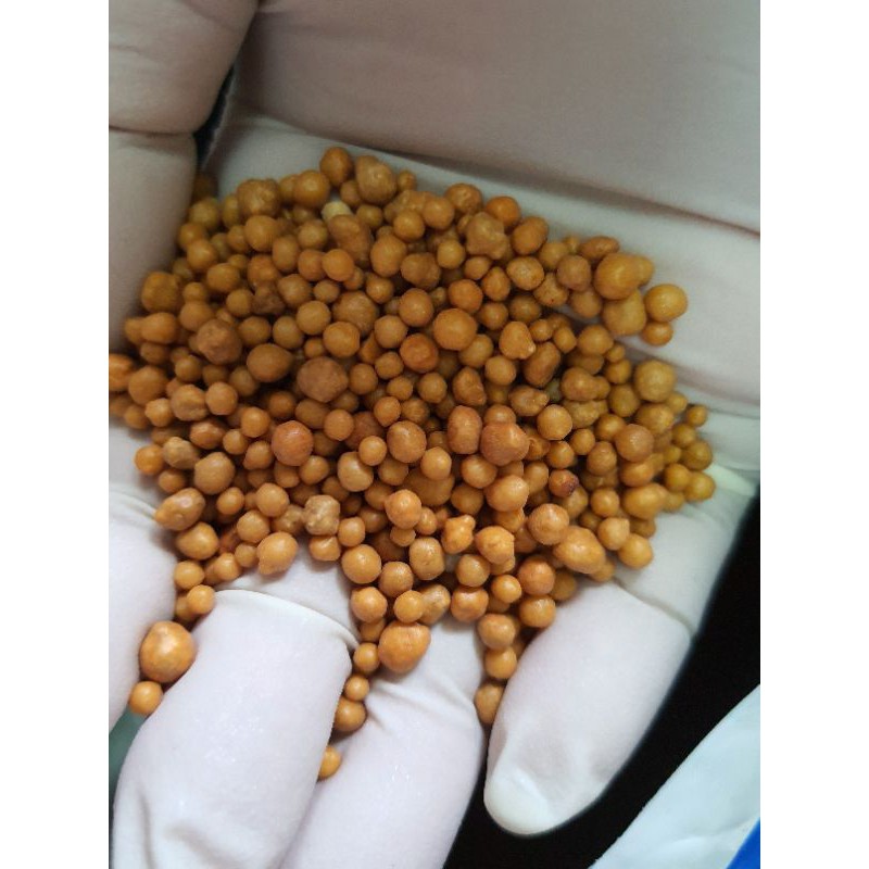 100 g hoặc 200 g phân vàng tan chậm vàng osmocote nhập khẩu từ thái lan - ảnh sản phẩm 1