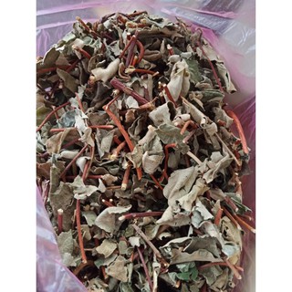 500 gram Lá Hà Thủ ô đỏ