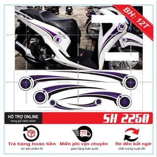 TEM XE SH 2019 TRẮNG TÍM - TRUNG DECAL