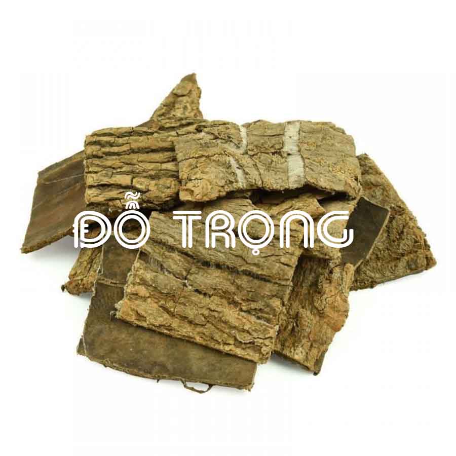 ✅ ĐỖ TRỌNG khô sạch đóng gói 500gram - congtyduoclieuhonglan