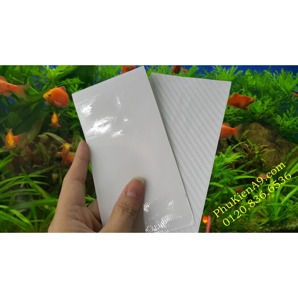 Dán mặt sau Xiaomi Mi5s Plus