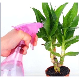 Bình Xịt Nước Phun Sương Ruby Đa Năng  Chirita RB
