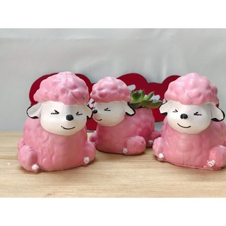 Chậu cừu hồng mini - Chậu trồng sen đá