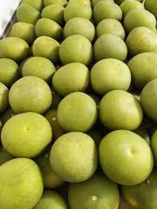 Cây BƯỞI ĐOAN HÙNG
