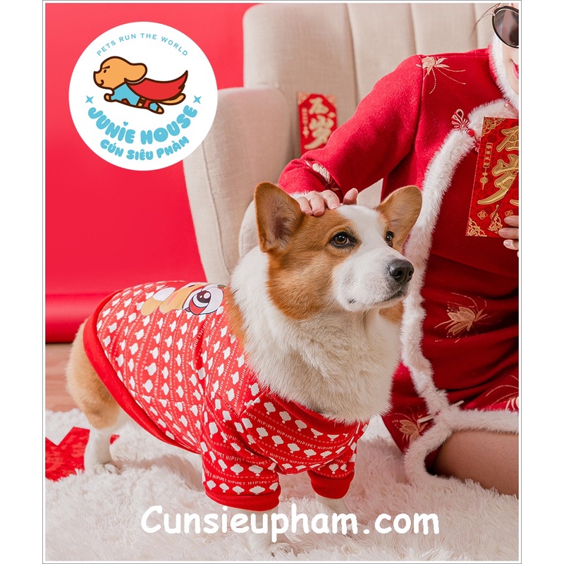 Áo thun Tết size lớn cho chó lớn Corgi Bull Husky