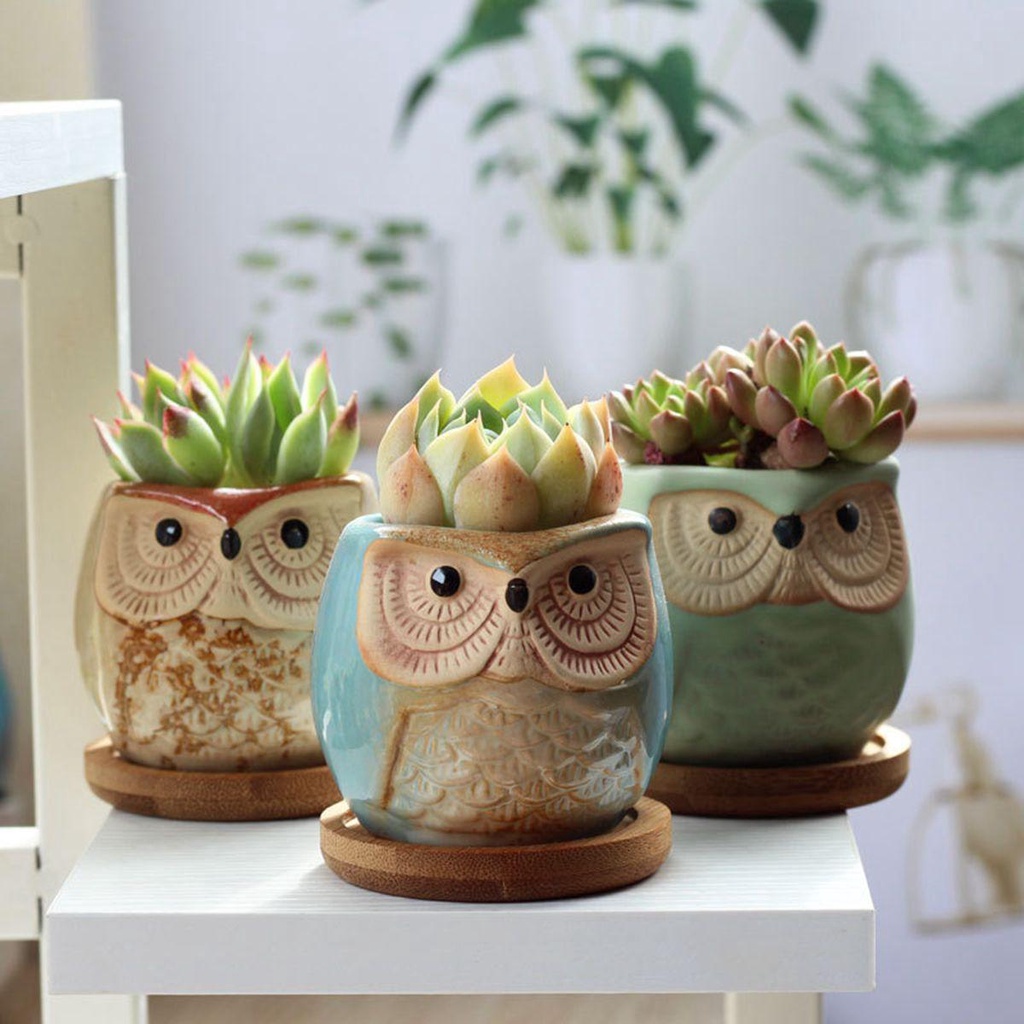 Chậu Trồng Cây Bằng Gỗ Kèm Khay Tre Họa Tiết Hoạt Hình Dễ Thương