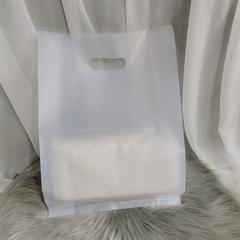 1KG Bọc Nlion mờ đựng quần áo sang trọng