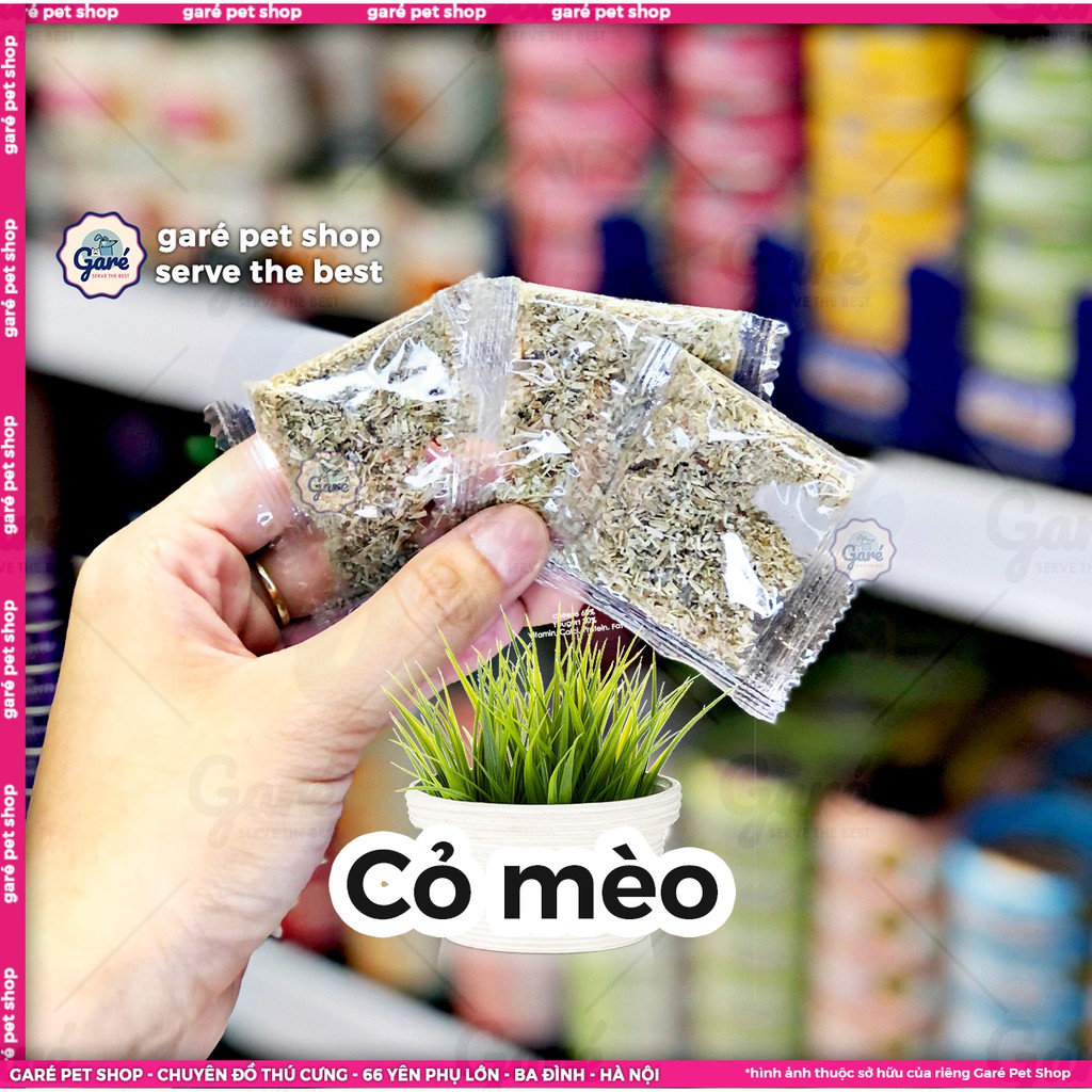 Cỏ bạc hà KONG Naturals Catnip dành cho Mèo - Garé Pet Shop