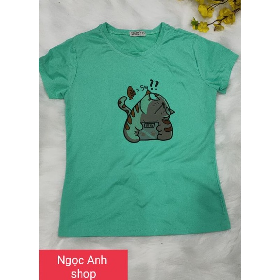 Áo phông nam/ nữ