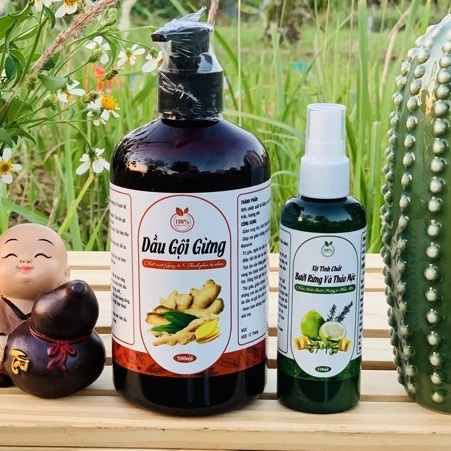 Dầu gội gừng tươi thảo mộc, Sạch Gàu giảm rụng tóc, sản phẩm Handmade, chai 500ml - Goss Việt