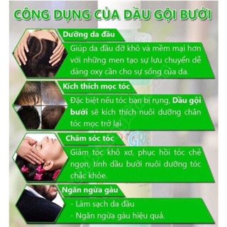 Cặp dầu gội xả Grapefruit hương bưởi 850ml
