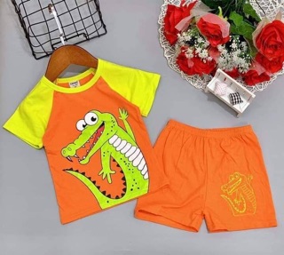 Bộ thun cotton bé trai size 8-22kg