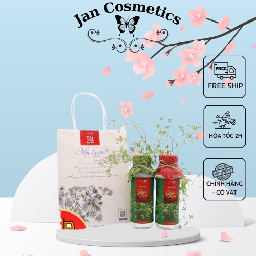 Tinh dầu mùi già Mộc Hương - tinh dầu xông nhà, lau dọn ban thờ