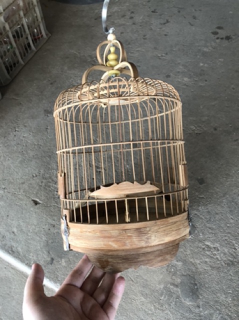 Lồng khuyên lùn nan tre xử lý