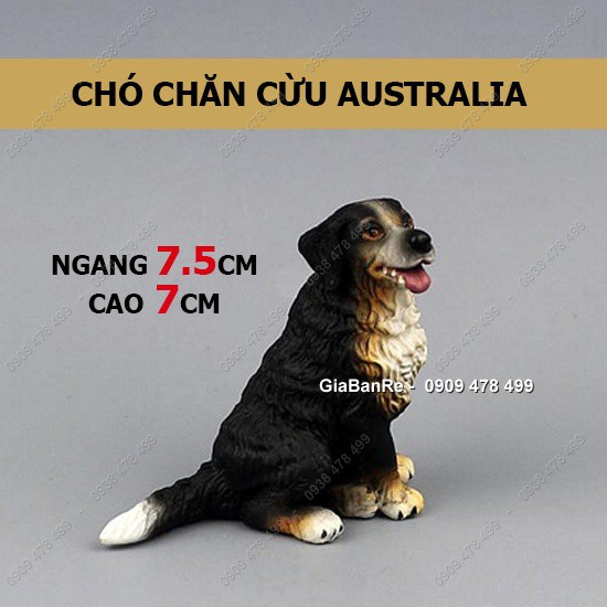 MS: 7664.7 - MÔ HÌNH ĐỘNG VẬT - CÁC GiỐNG CHÓ THUẦN - CHÓ CHĂN CỪU ÚC