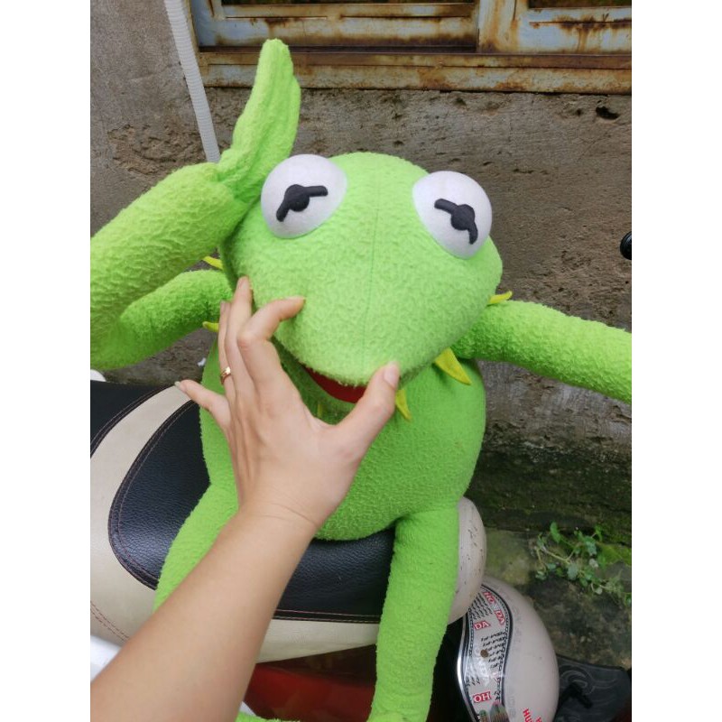 Ếch Kermit size khổng lồ 90cm siêu hiếm