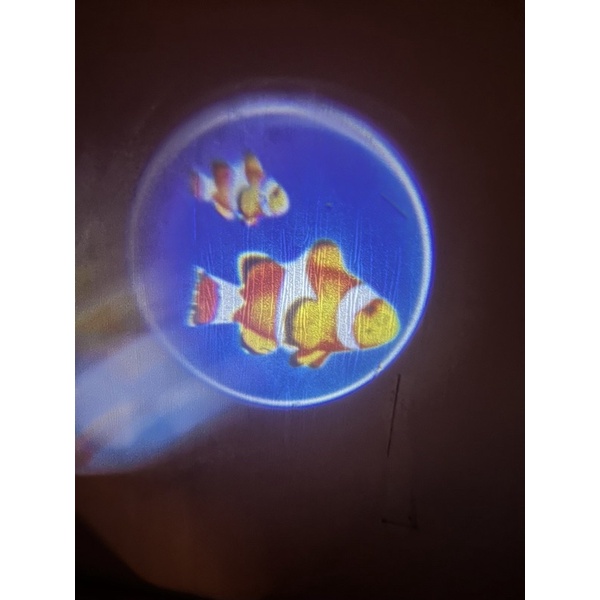 Đèn Pin Chiếu Hình Cho Bé 3D, Đèn Vẽ Thông Minh Có Nhiều Hình Động Vật