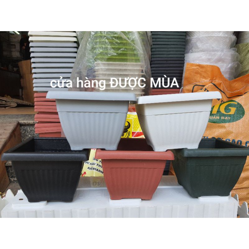 combo 5 chậu vuông nhật 13x10cm nhựa dày tốt.