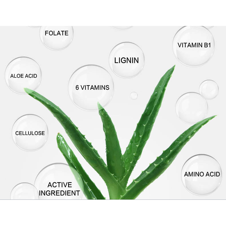 [Hàng mới về] Serum chiết xuất tràm trà/lô hội tự nhiên DR.RASHEL Hỗ Trợ Giảm mụn ngăn ngừa sẹo thêm | BigBuy360 - bigbuy360.vn