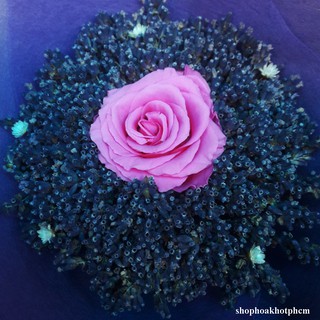 Bó hoa lavender khô hoa hồng