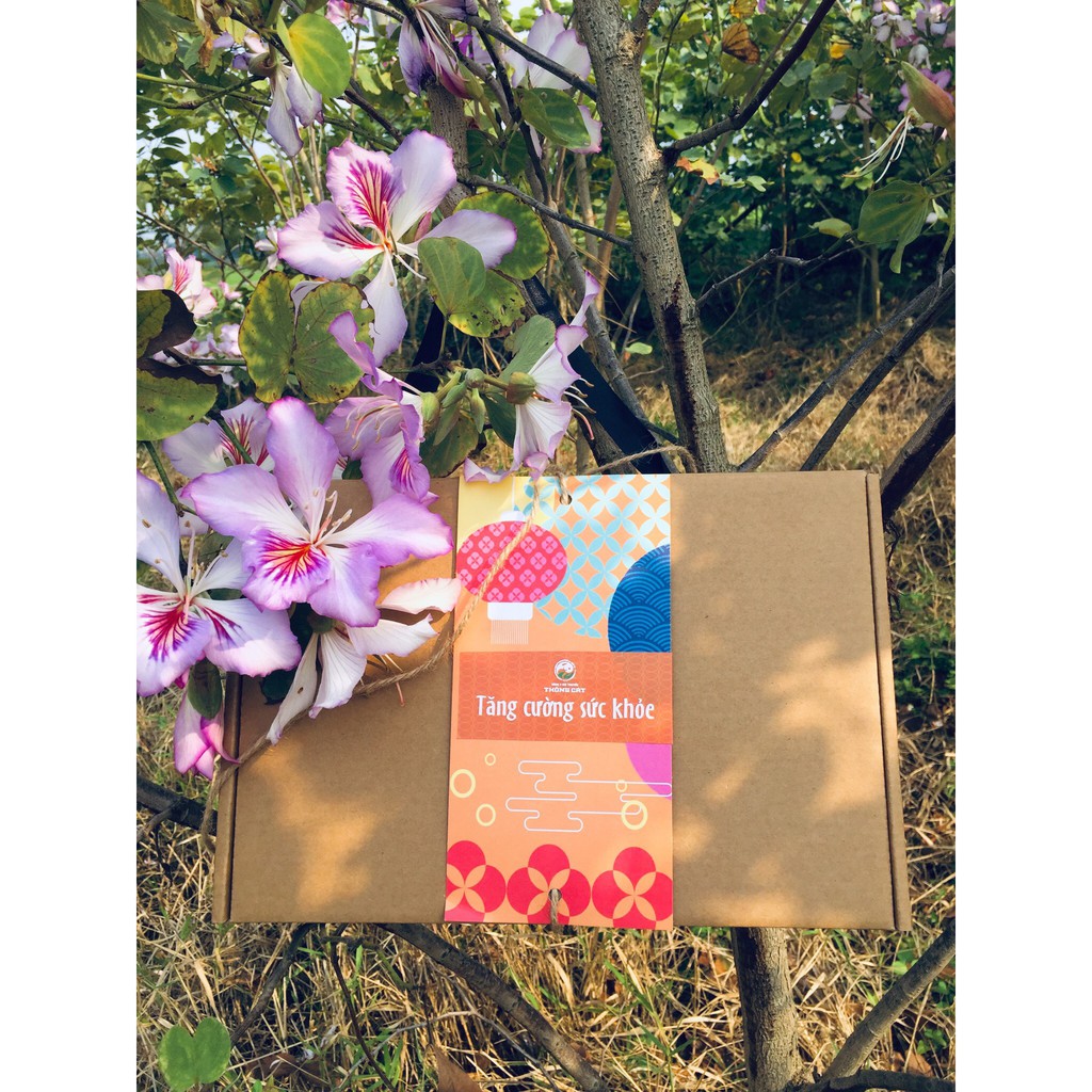 Quà tặng mẹ Cổ Dược Gia Truyền KỲ HOA (Since 1918)_Trao yêu thương dịu dàng_đong đầy hạnh phúc 2021 | BigBuy360 - bigbuy360.vn