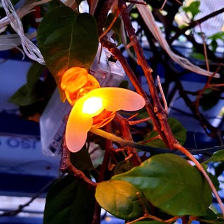 Dây đèn led decor đep, dây led con ong