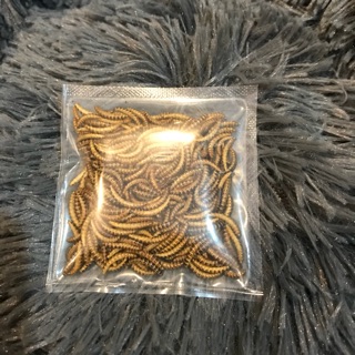 [Buffet 3k] Sâu gạo dành cho hamster