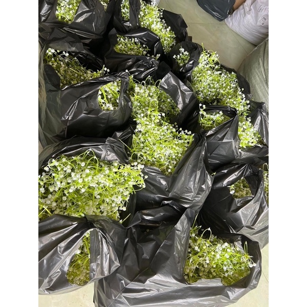 100g hoa baby điểm trang trí giỏ quà , gói hoa sáp cực sang chảnh