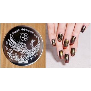 COMBO 1 dụng cụ in và 1 khuôn in móng (STAMPING NAIL ART)