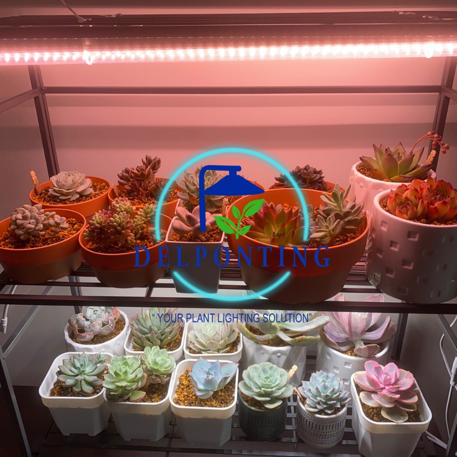 Đèn LED Kích Thích Tăng Trưởng Cho Cây Trồng DELPONTING T1200 LED 36W, Đèn Quang Hợp Trồng Cây Trong Nhà