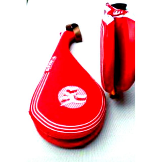 Vợt đá võ thuật