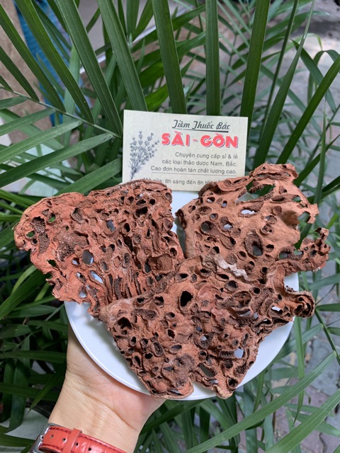 Cây Bí Kỳ Nam Khô 500g