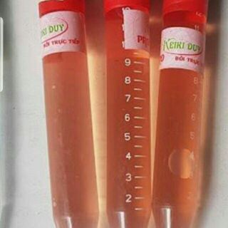 Keiki Duy Pro đỏ- Kích mầm