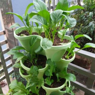 Tháp trồng rau rời ( không đĩa)