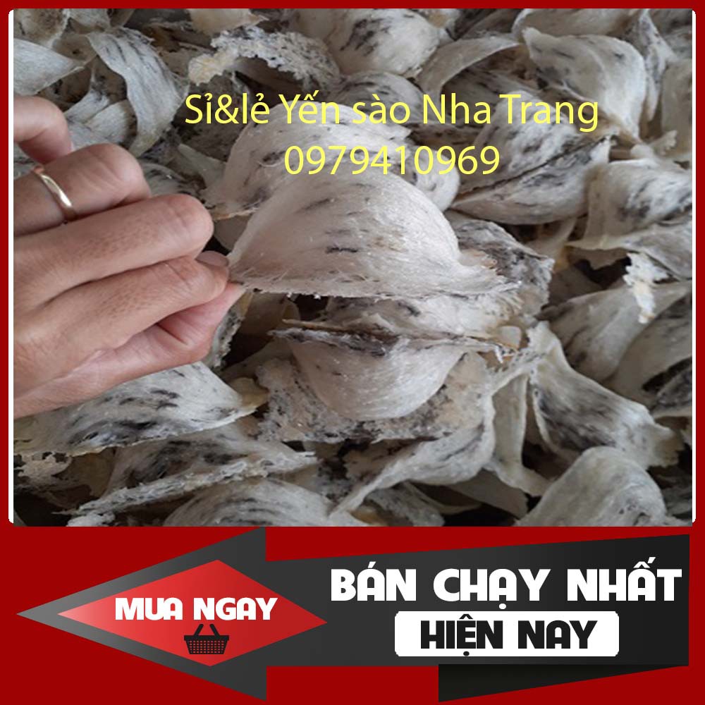 Yến Sào Thô còn lông nguyên tổ nguyên chất 1 tai tặng kèm táo đỏ, đường phèn, hạt chia