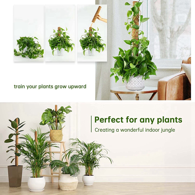 Set 4 Thanh Cắm Đất Coir Dùng Để Hỗ Trợ Trồng Cây Dây Leo Có Thể Tái Sử Dụng