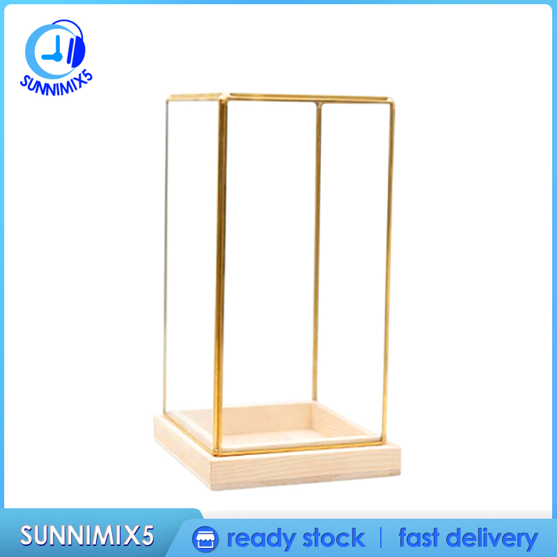 [Trend Technology]Glass Display Case Decorative Cuboid Antique Artwork Showcase Terrarium