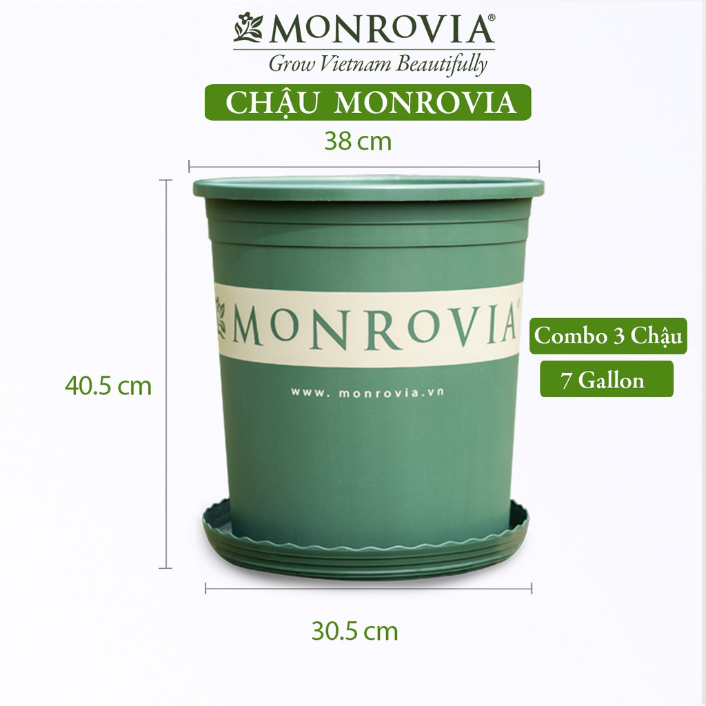 Combo 3 Chậu nhựa trồng cây MONROVIA 7 Gallon để bàn, ban công, ngoài trời, sân vườn, tiêu chuẩn Châu Âu