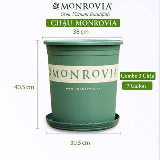 Combo 3 Chậu nhựa trồng cây MONROVIA 7 Gallon, chậu trồng cây, chậu cây cảnh, để bàn, treo ban công, chính hãng MONROVIA thumbnail