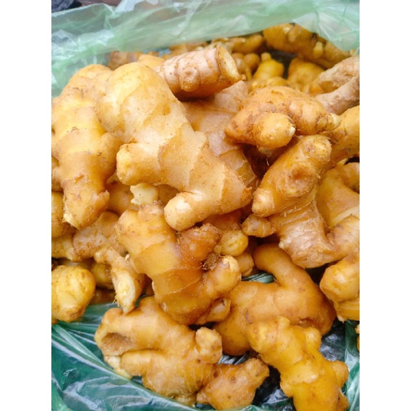 1kg GỪNG TA RUỘT VÀNG MIỀN BẮC