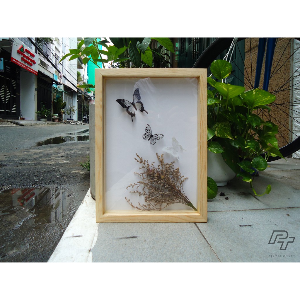 Khung ảnh A4 21x30 Hộp B1 - Khung hình gỗ thông mặt kính handmade - Picture Frames Tiệm Khung PT