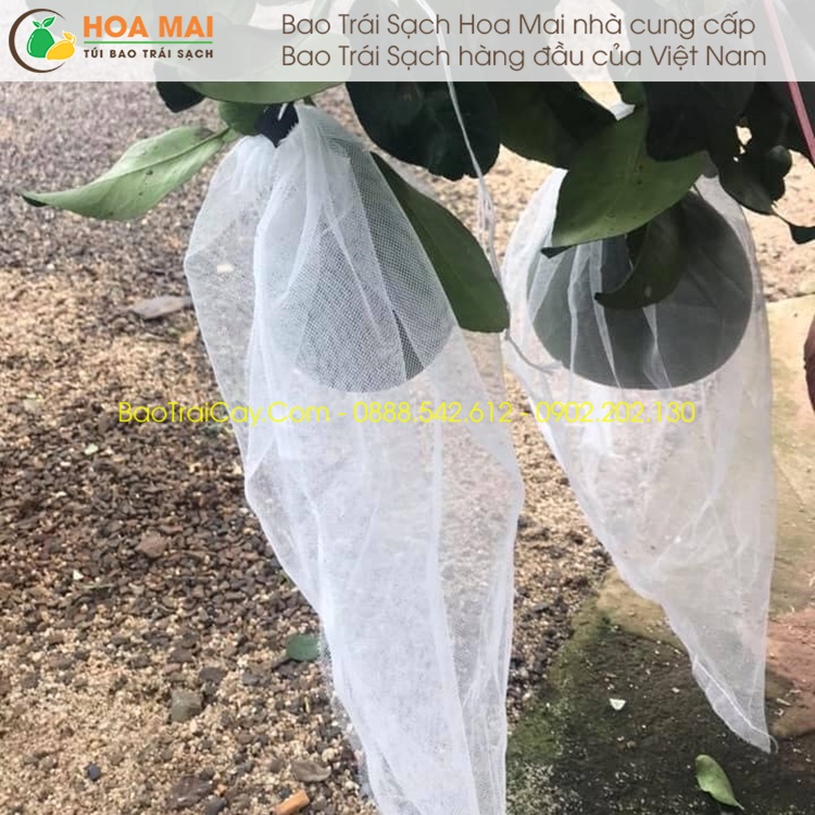 100 Túi bao trái Bưởi 30x35 lưới mùng - hàng chính hãng Hoa Mai
