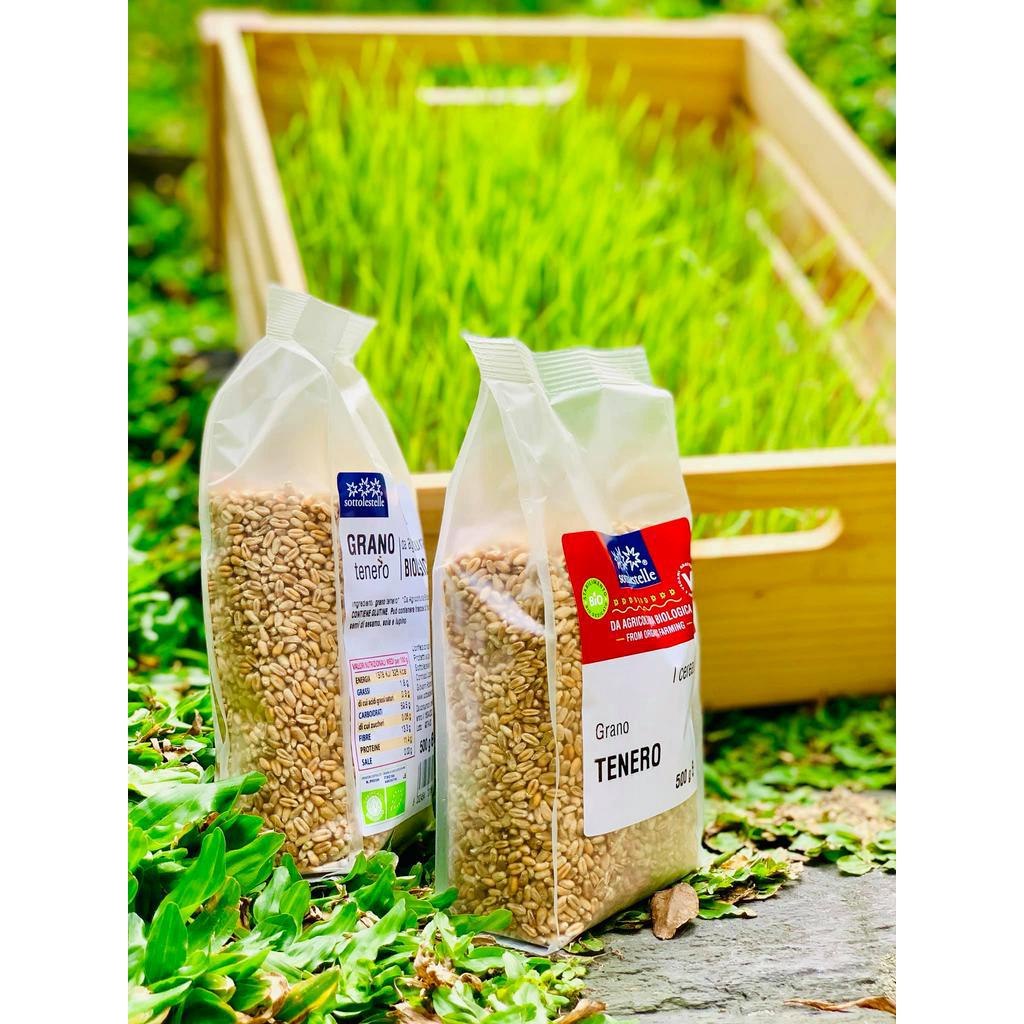 Hạt lúa mì hữu cơ Sottolestelle 500g Organic WheatGrass Seeds