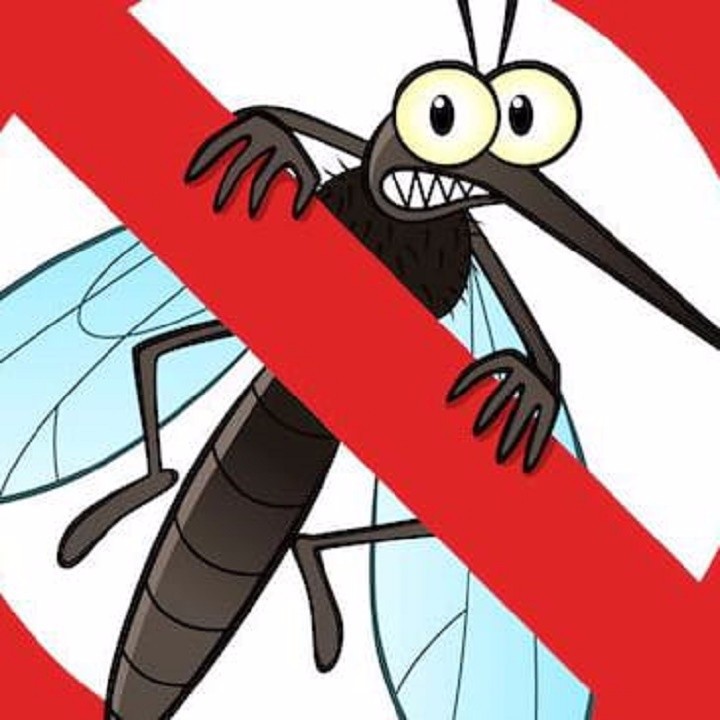 Chai Xịt Chống Muỗi Và Côn Trùng Đốt MINI Bỏ Túi Hàng NHẬT Nội Địa 12ml - MADE IN JAPAN