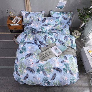 Set poly nhập